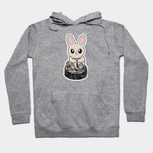 Puck Bunny (LGBT+) Hoodie